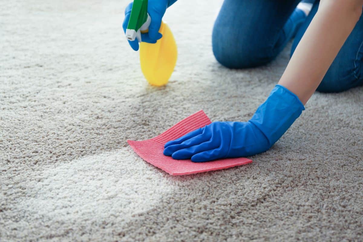 A woman cleaning a carpet with gloves and sponge, demonstrating how to effectively remove milk stains.