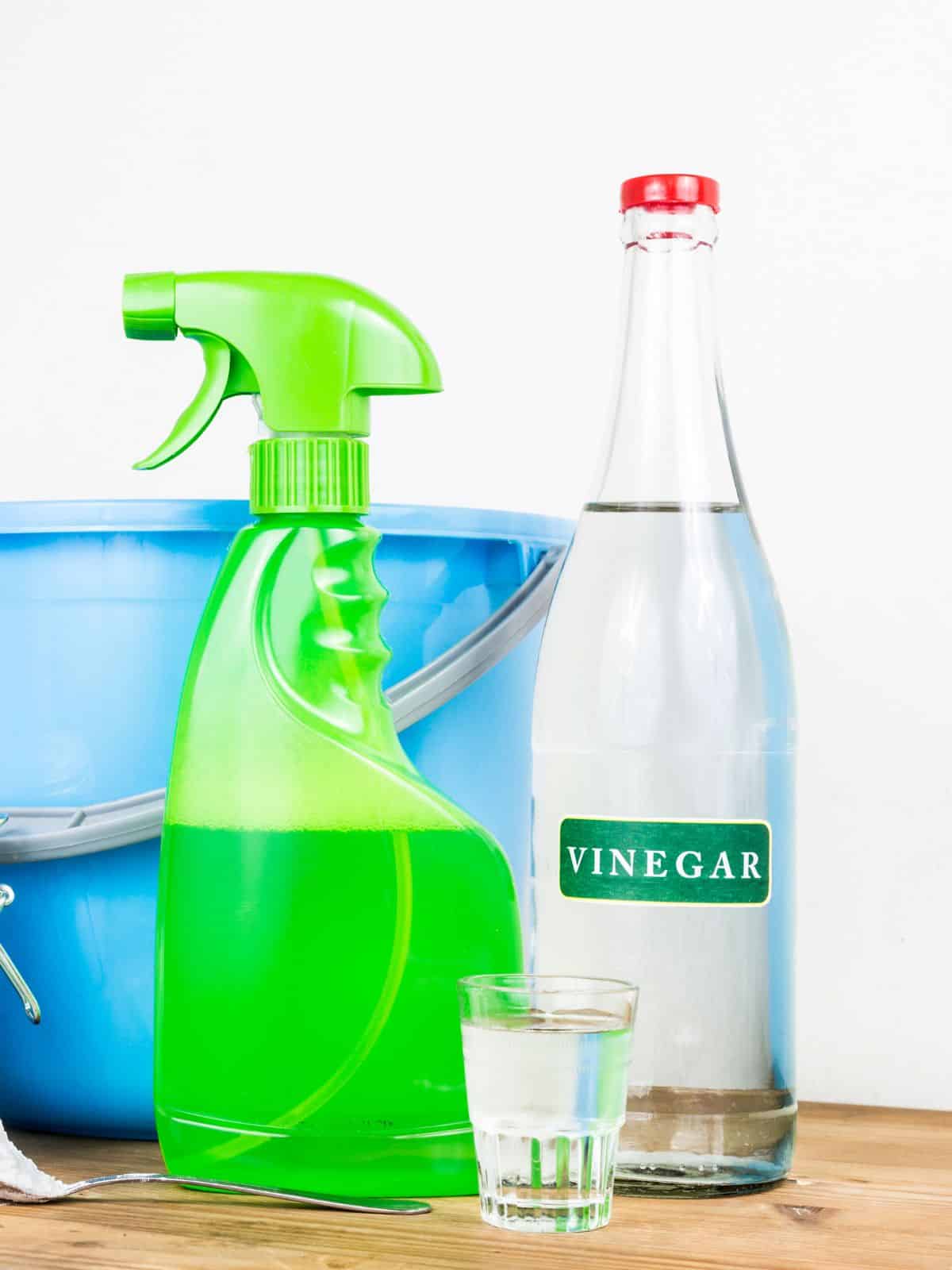 A bottle of vinegar, spray bottle, a glass of water and a bucket on a wooden table.