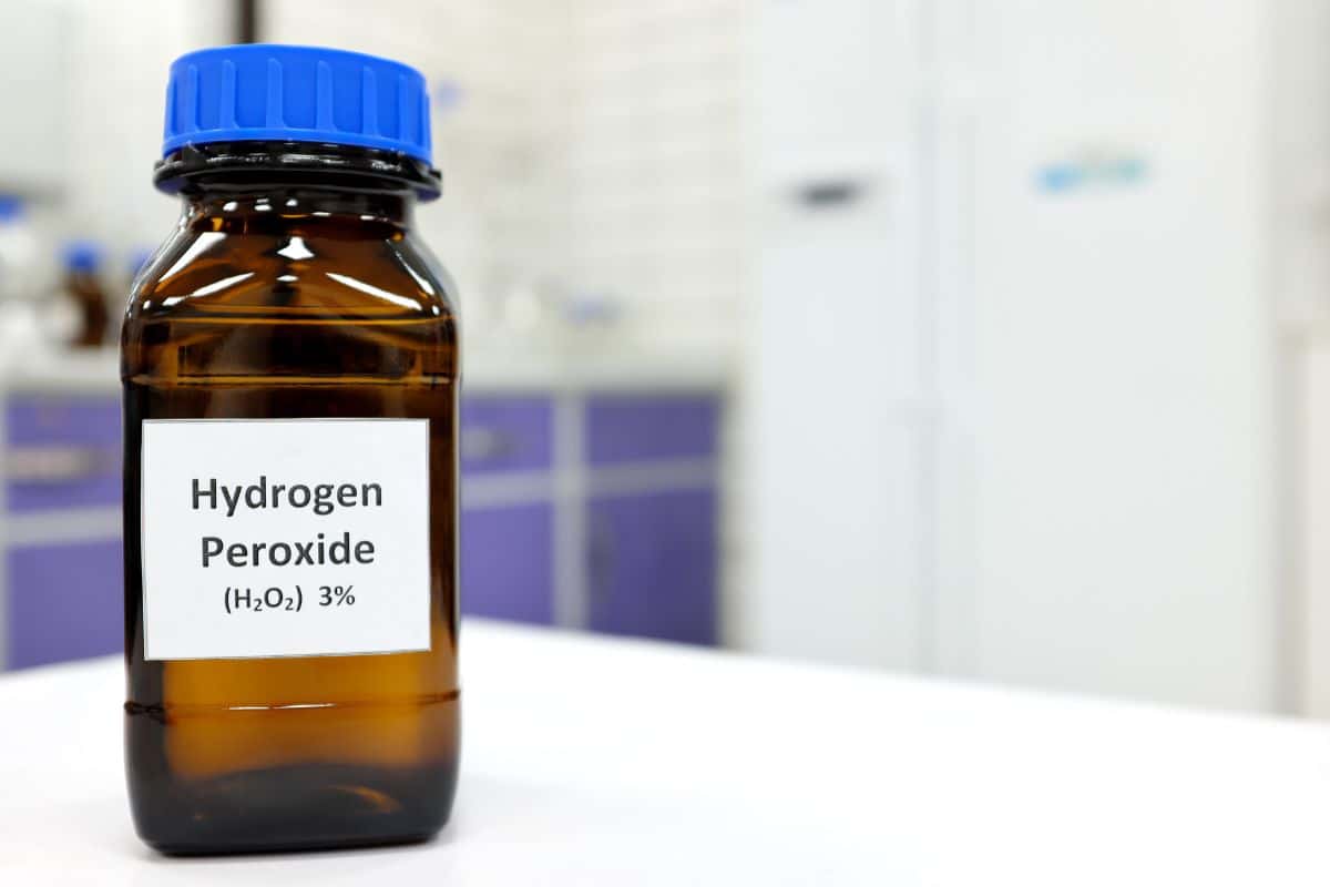 Bottle of hydrogen peroxide on a table, used to get a musty smell out of carpet.