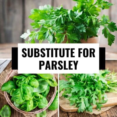 A collage of photos with the parsley alternative substitute in place of parsley.