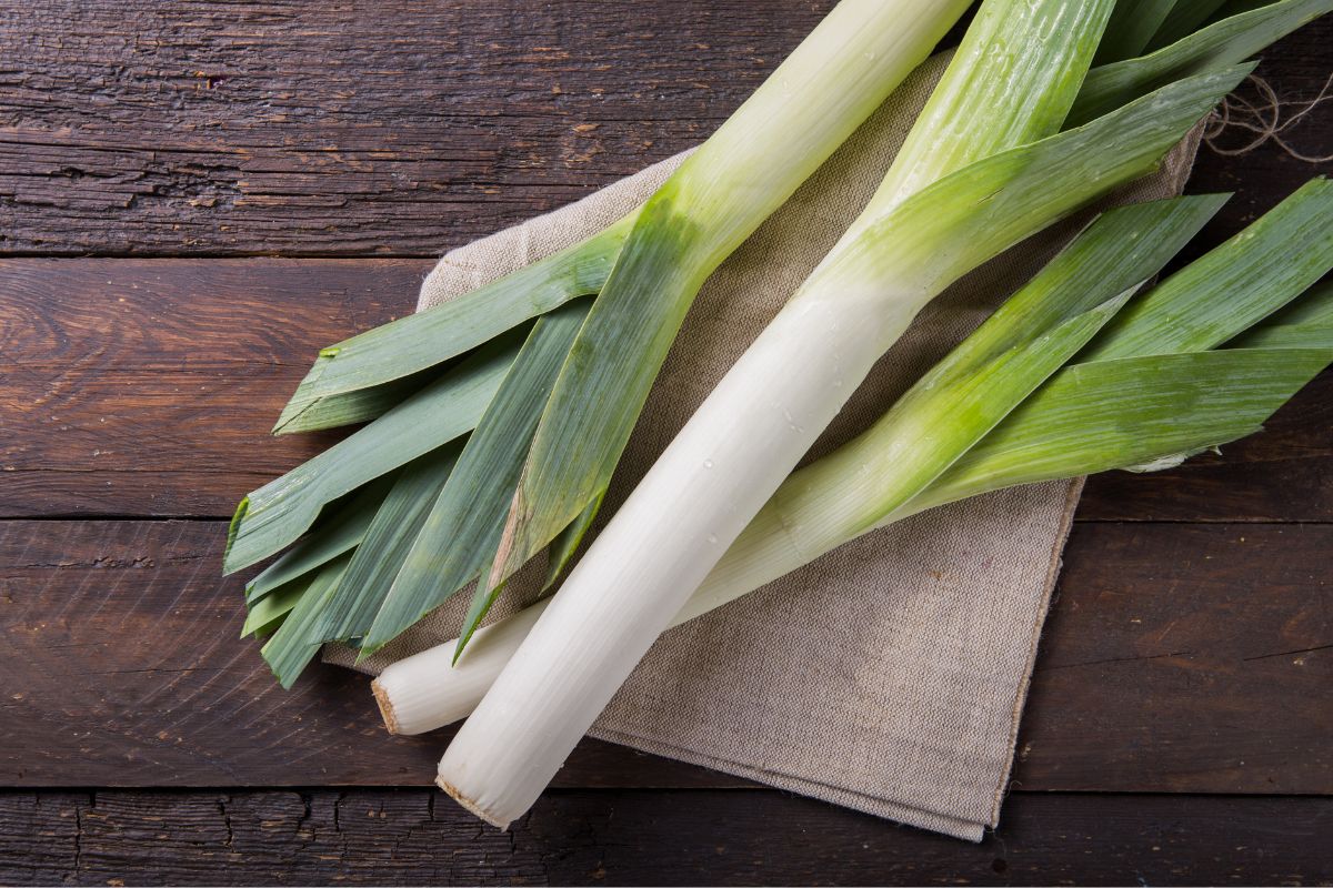 A bunch of leeks, a versatile substitute for celery, on a wooden table.