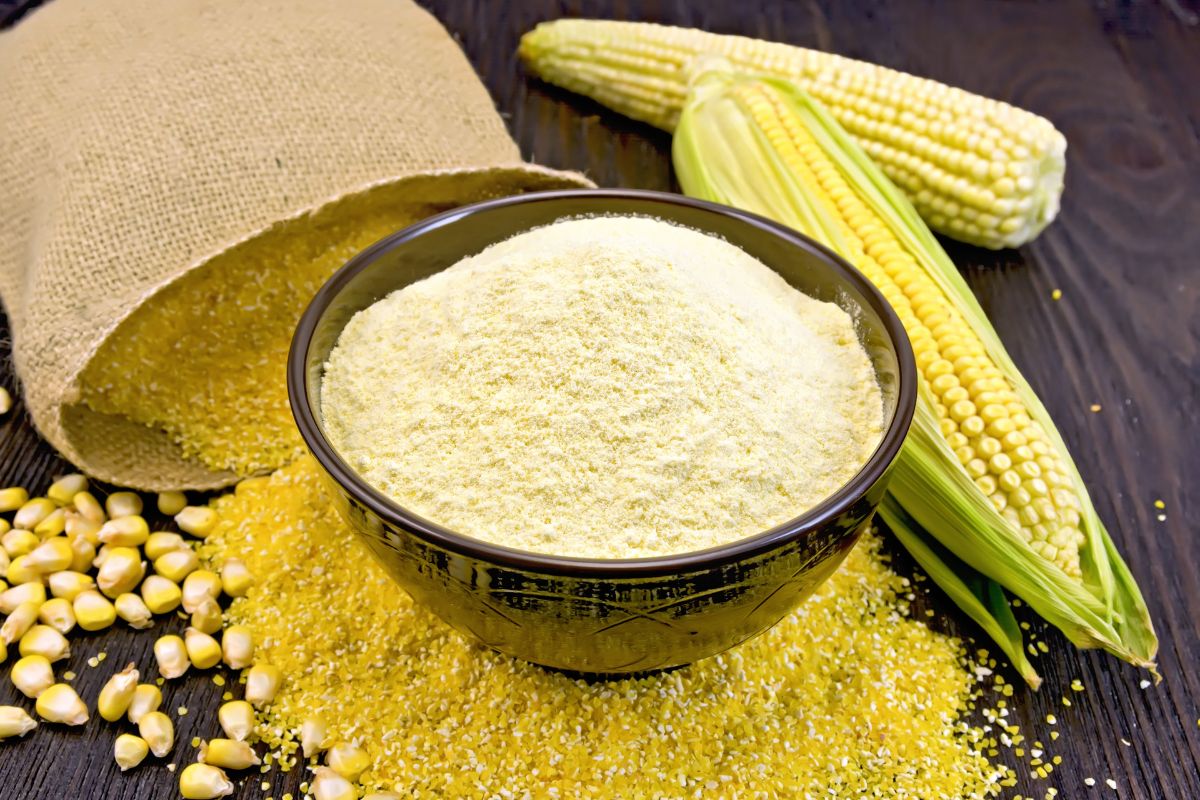 Corn Flour in a bowl with whole corn cobs and kernels on a wooden surface.
