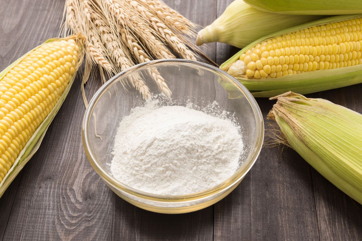 Fresh corn cobs beside a bowl of cornstarch with wheat ears on a wooden surface.