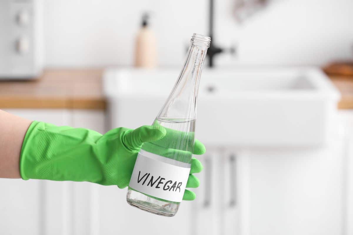 A person with green gloves holding a bottle of vinegar.