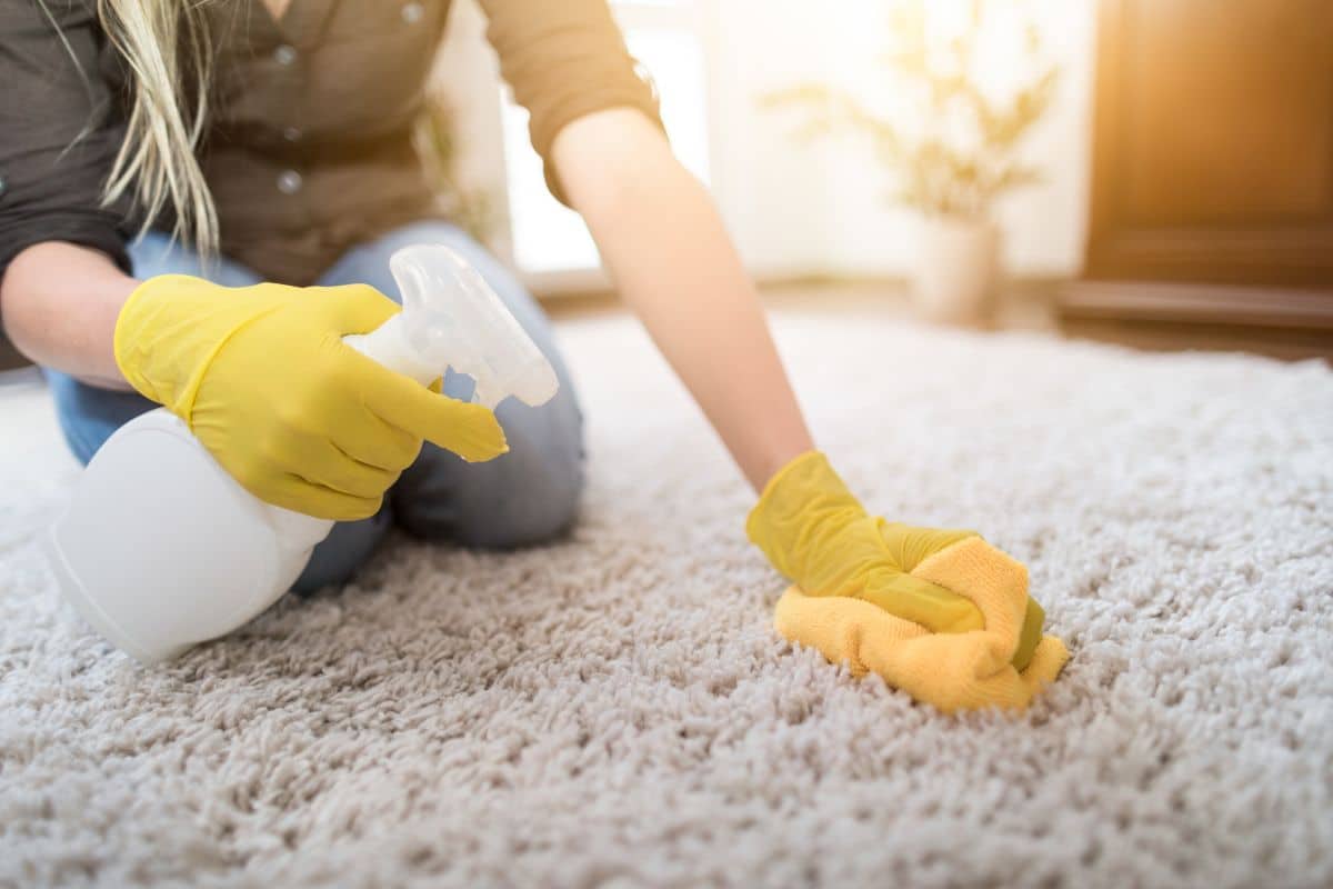 A woman cleaning a carpet to remove a musty smell using a bottle of cleaning solution.