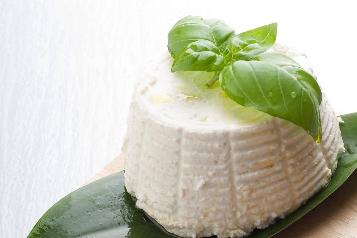 Fresh ricotta cheese topped with basil leaves on a green leaf.