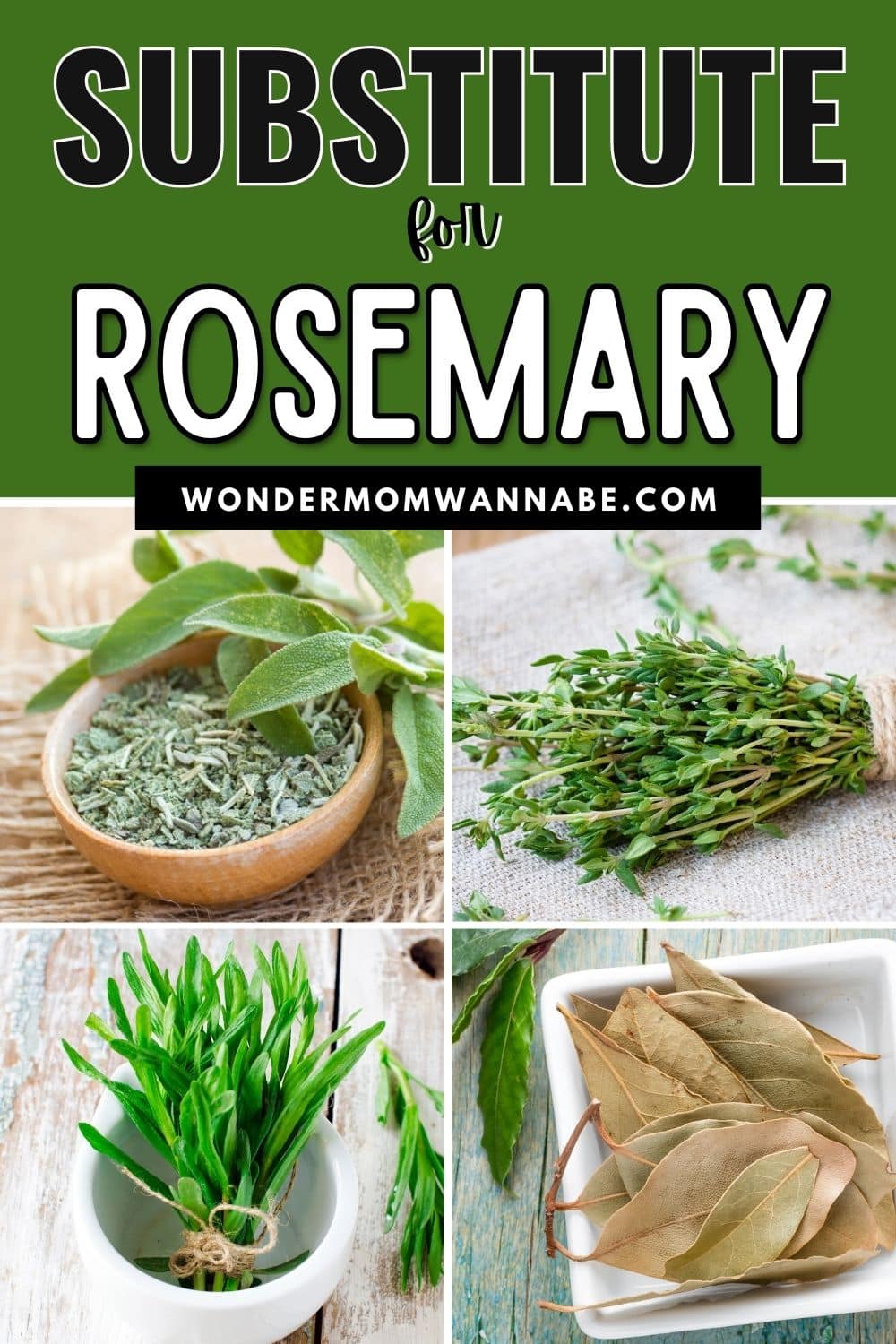 A collage of herbs including a substitute for rosemary.