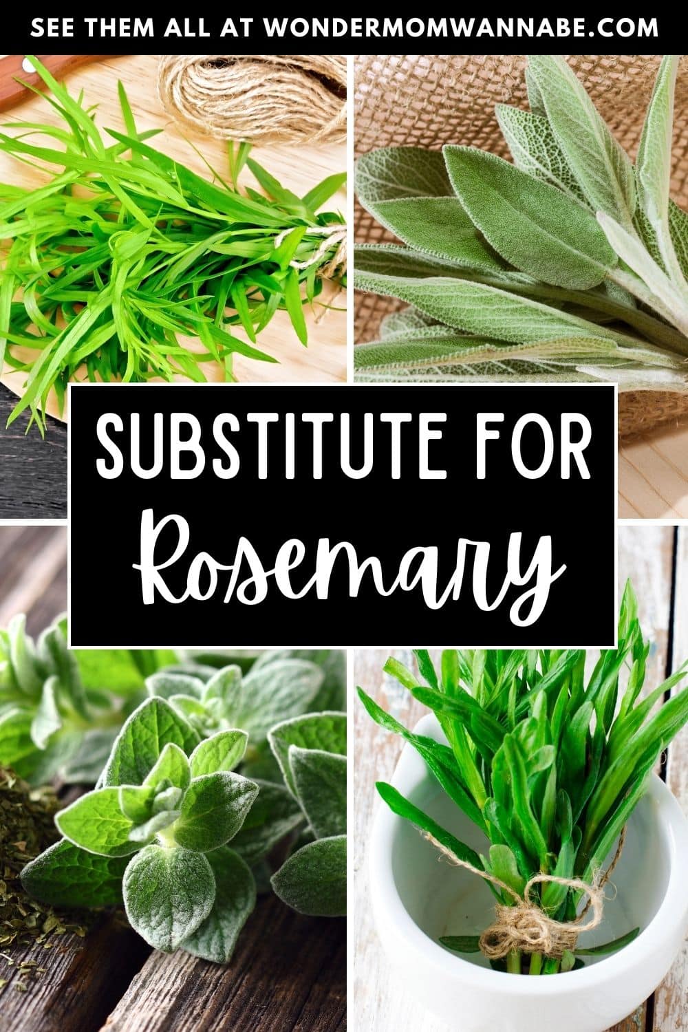 A collage of herbs with a substitute for rosemary.