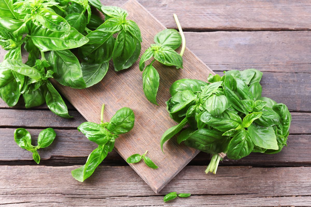 Fresh basil leaves on a wooden cutting board, perfect substitute for rosemary.