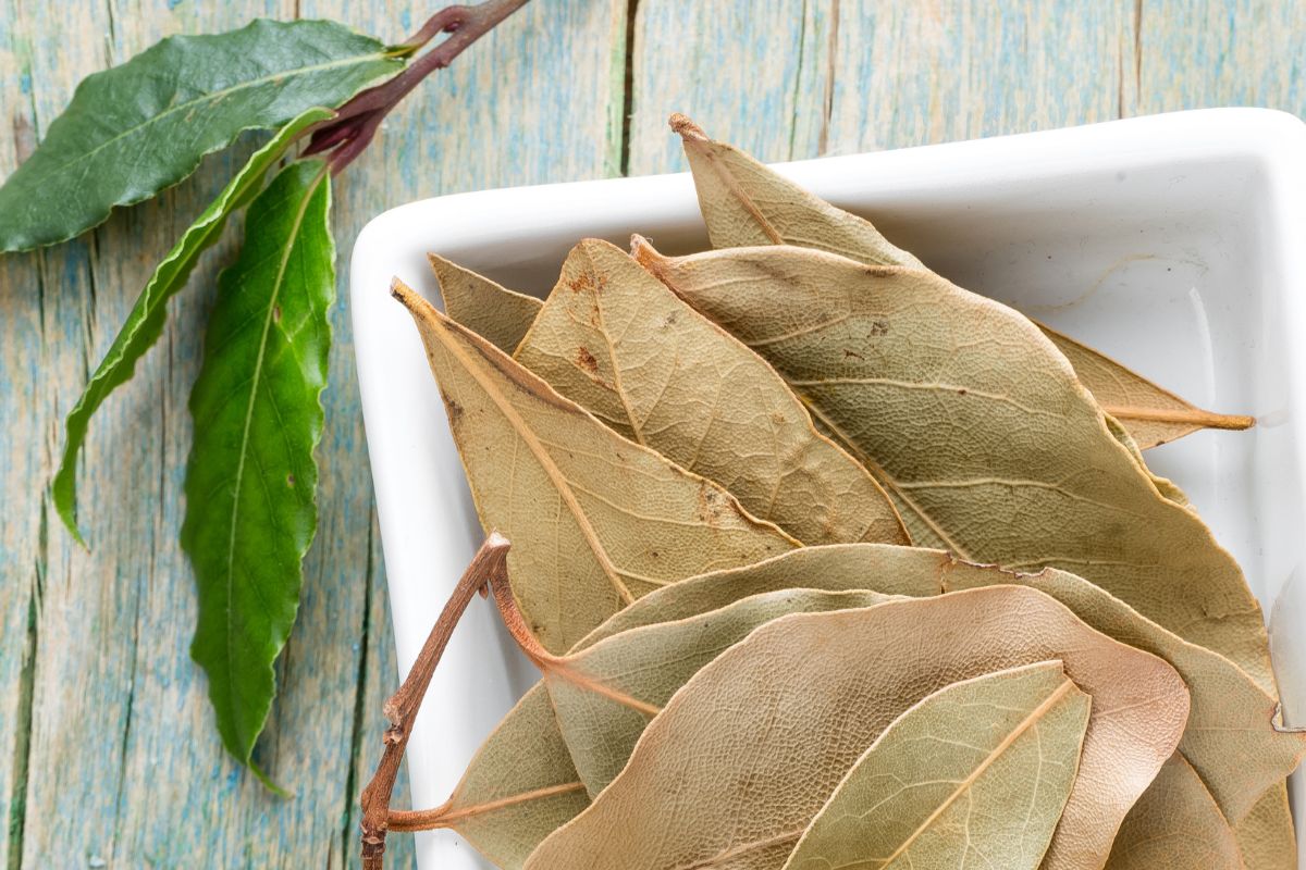 Bay leaves in a white bowl on a wooden table, perfect substitute for rosemary.