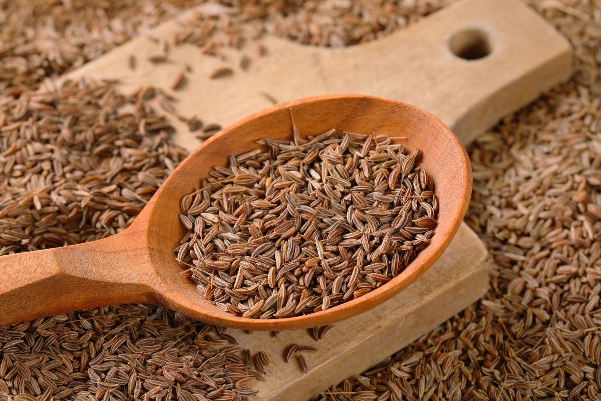 Caraway seeds in a wooden spoon on a wooden board.