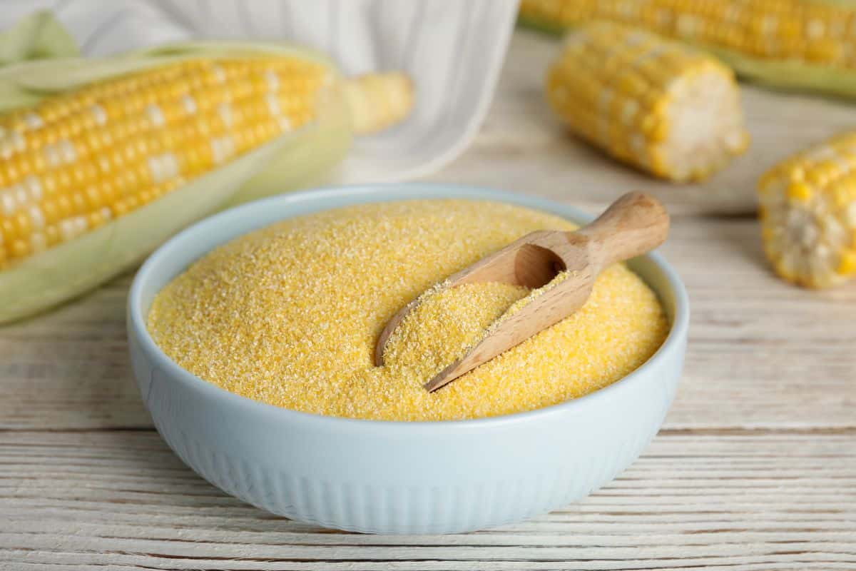 Bowl of cornmeal with a wooden scoop, fresh corn cobs in the background.