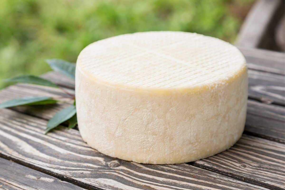 A whole goat cheese, a replacement for Ricotta cheese on a wooden table outdoors.