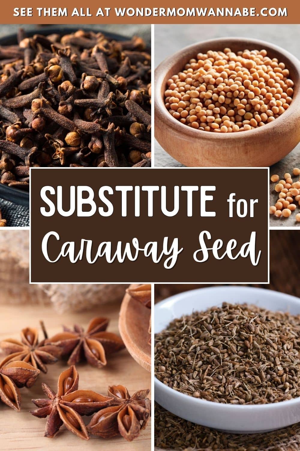 Substitute for Caraway Seeds.