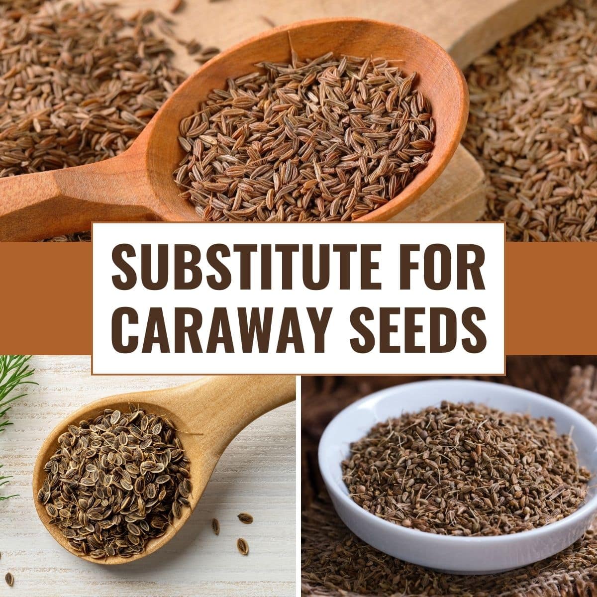 Substitute for caraway seeds.