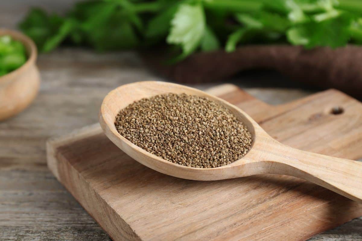 Celery seeds substitute for caraway seeds on a wooden spoon on a wooden cutting board.