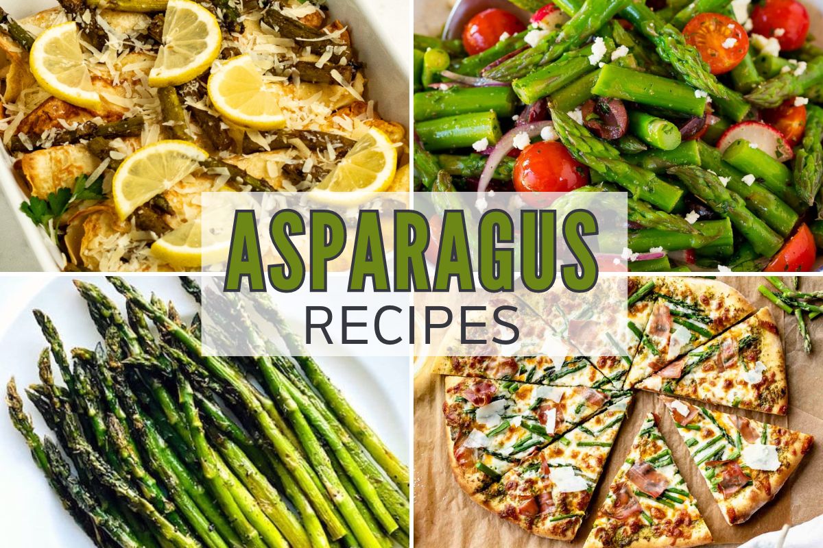 Collage of various asparagus dishes with text "asparagus recipes.